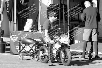 media/Oct-06-2023-Apex Assassins (Fri) [[5cb57a08ab]]/Around the Pits/